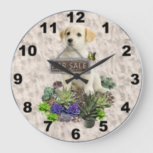 Grande Horloge Ronde Succulents à vendre