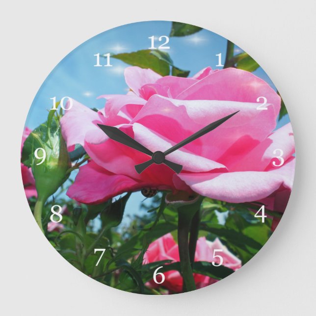 Grande Horloge Ronde Superbe rose rose dans le ciel bleu. Photographie  (Recto)