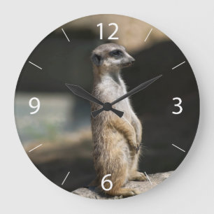 Grande Horloge Ronde Suricate