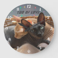 Tao of Love - Deux Chats Sphynx Personnalisés