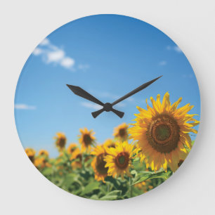 Grande Horloge Ronde Terrain de tournesol