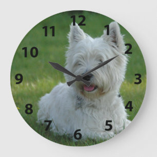 Grande Horloge Ronde Terrier des montagnes occidental adorable
