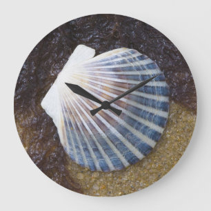 Grande Horloge Ronde Tidal Pool