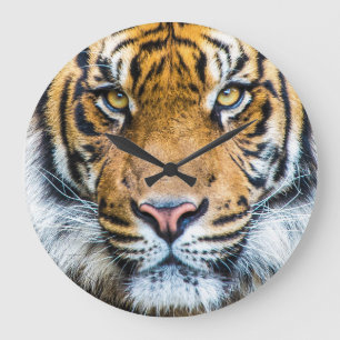 Grande Horloge Ronde Tiger