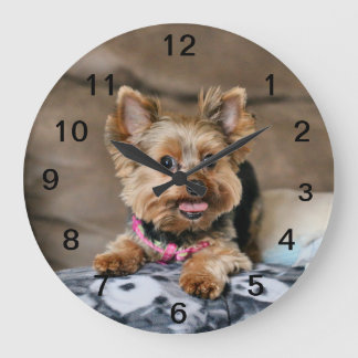 Grande Horloge Ronde Tiny dynamo