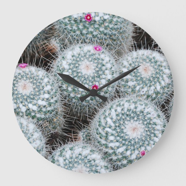 Grande Horloge Ronde Tiny rose Fleurs Plantes Cactus (Recto)