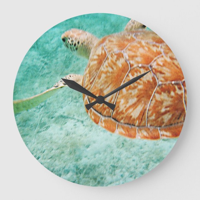 Grande Horloge Ronde Tortue de mer (Recto)