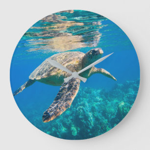 Grande Horloge Ronde Tortue de mer