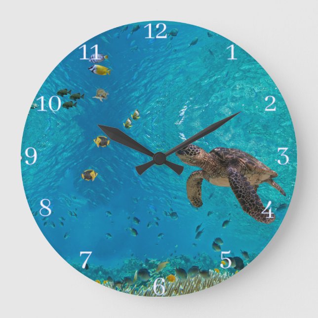 Grande Horloge Ronde Tortues marines (Recto)
