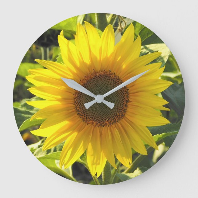 Grande Horloge Ronde Tournesol brillant (Recto)