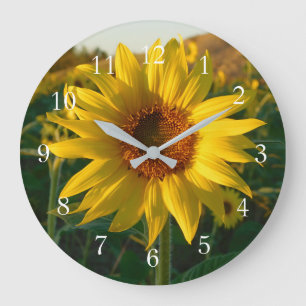 Grande Horloge Ronde Tournesol d'été