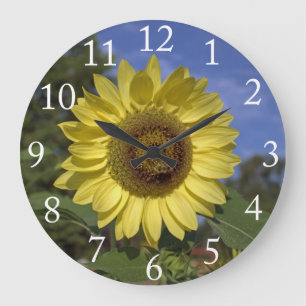 Grande Horloge Ronde Tournesol d'été parfait dans un ciel bleu.