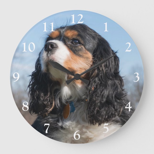 Grande Horloge Ronde Tri Couleur Cavalier King Charles Spaniel Chien Gr (Recto)