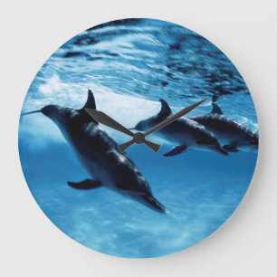 Grande Horloge Ronde Trio de dauphins