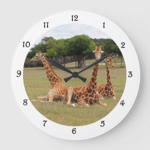 Grande Horloge Ronde Trois girafe à la paroi de la ceinture fossile