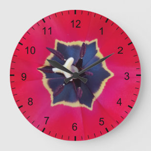Grande Horloge Ronde Tulipe Rouge Gras Fleur Macro Photographie De La N