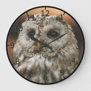 Grande Horloge Ronde Twany Owl