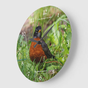 Grande Horloge Ronde Un oiseau chanteur américain curieux dans l'herbe