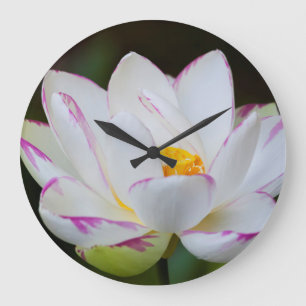 Grande Horloge Ronde USA, Géorgie, Savannah, Lootus Flower Blooming