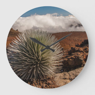 Grande Horloge Ronde USA, Hawaï, Maui, Parc national de Haleakala