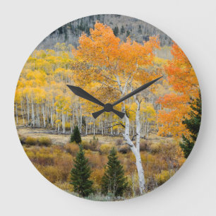 Grande Horloge Ronde Utah, USA. Arbres D'Aspen Et Épais De Saules