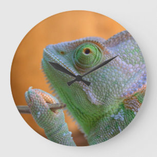 Grande Horloge Ronde Veiled Chameleon