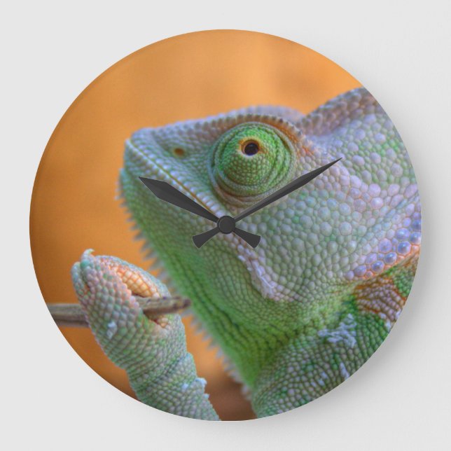 Grande Horloge Ronde Veiled Chameleon (Recto)