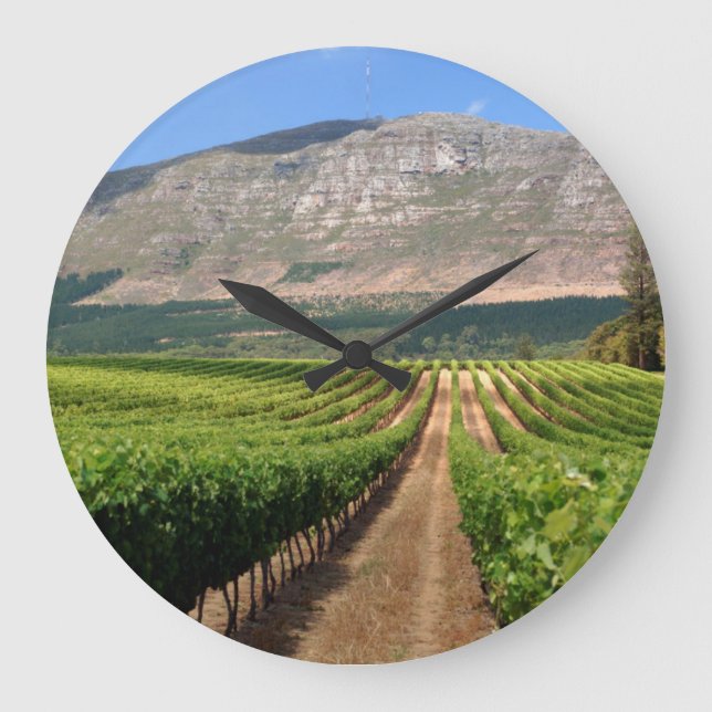 Grande Horloge Ronde Vignobles De Groot Constantia (Recto)