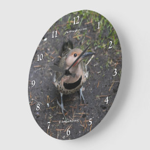 Grande Horloge Ronde Vue à vol d'oiseau du pic flamboyant