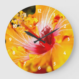 Grande Horloge Ronde Vue latérale de l'Hibiscus orange