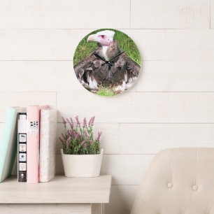 GRANDE HORLOGE RONDE VULTURE