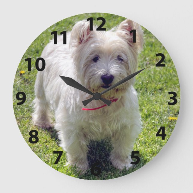 Grande Horloge Ronde West Highland White Terrier (Recto)
