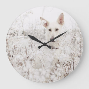 Grande Horloge Ronde White German Shepherd in the Snow