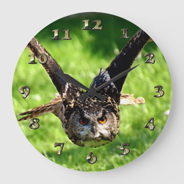 Grande Horloge Ronde Wild Eagle Owl in Full Flight (Recto)