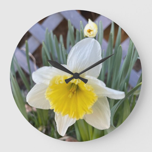 Grande Horloge Ronde Yellow Daffodils #1 (Recto)