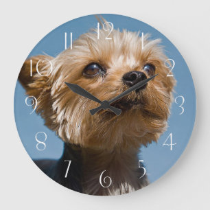 Grande Horloge Ronde Yorkshire Terrier