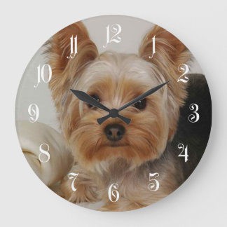 Grande Horloge Ronde Yorkshire Terrier