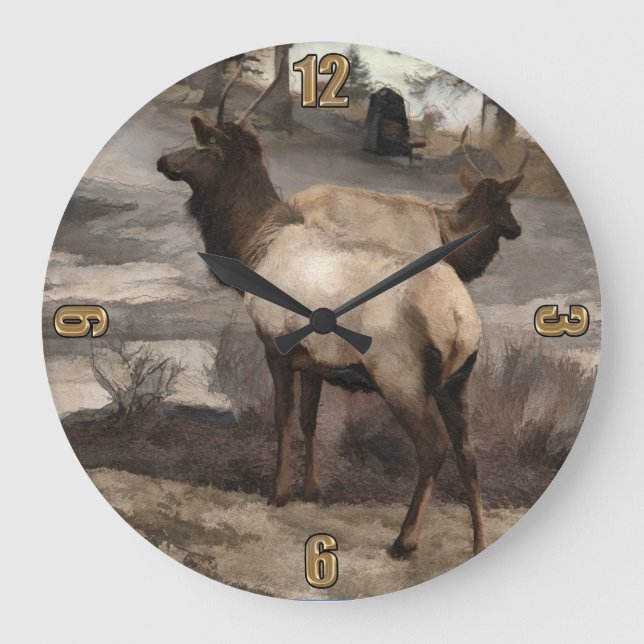 Grande Horloge Ronde Young Elk Bucks - Banff (Alberta) (Recto)