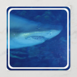 Grande invitation au requin blanc
