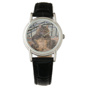 Grande Montre de chat énorme