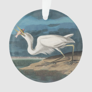 Grande Peinture de la faune d'Audubon Heron blanc