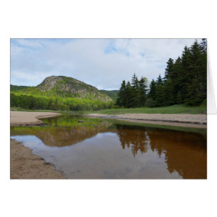 Grande réflexion de tête à Sand Beach