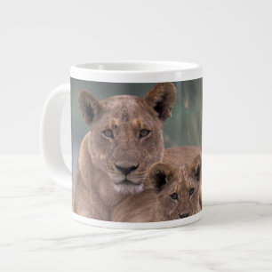 Grande Tasse Afrique, Botswana, Delta de l'Okavango. Lions