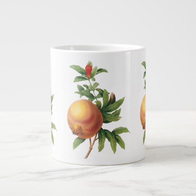 Grande Tasse Aliments anciens Fruit, Grenade par Redoute (Devant)
