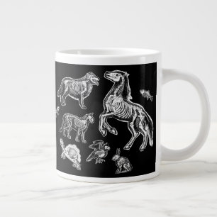 Grande Tasse Anatomie animale Radiographie squelettique