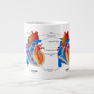 Grande Tasse Anatomie du coeur