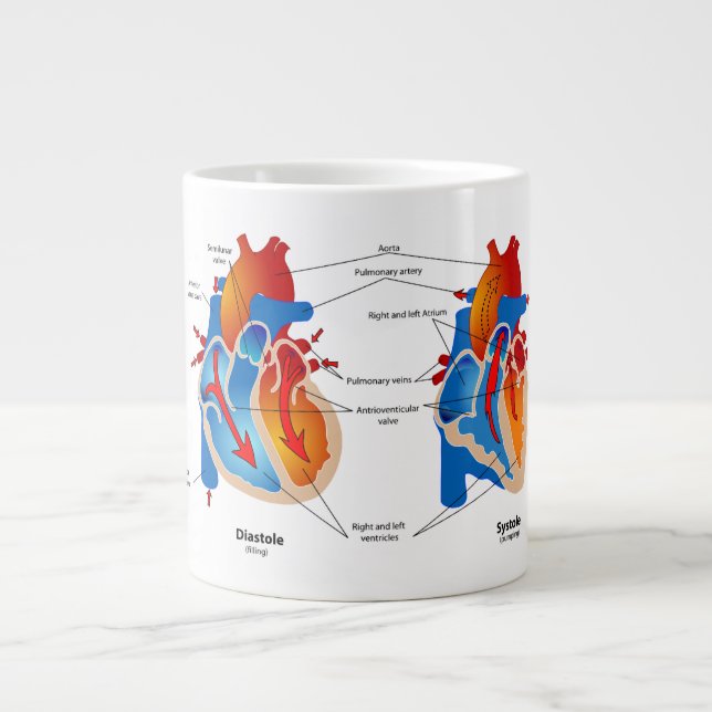 Grande Tasse Anatomie du coeur (Devant)