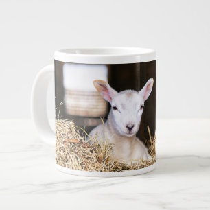 Grande Tasse Animaux de bébés cutest   Agneau nouveau-né