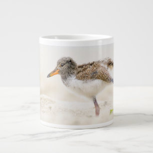 Grande Tasse Animaux de bébés cutest   American Oystercatcher C