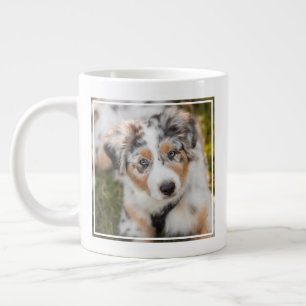 Grande Tasse Animaux de bébés cutest   Australian Shepherd Pupp